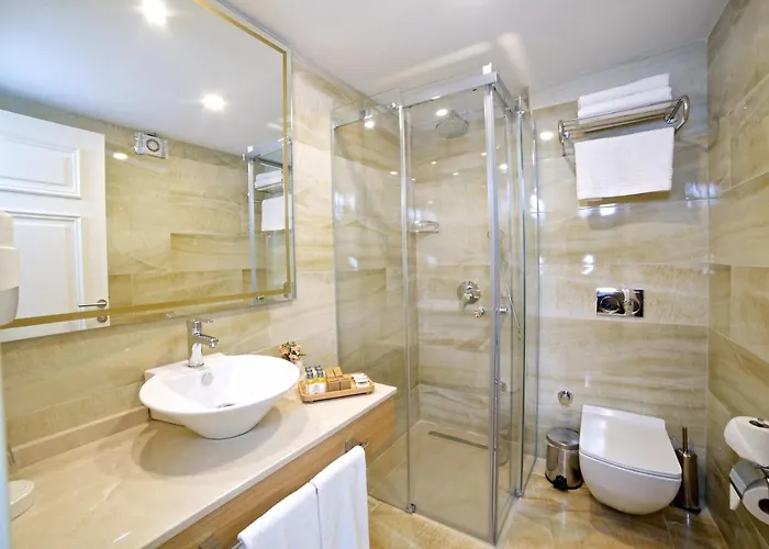 Hotel Beethoven Premium