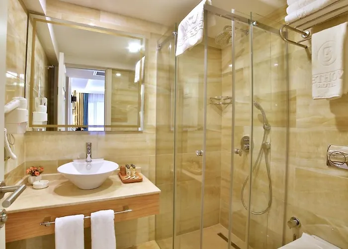 Hotel Beethoven Premium Istanboel