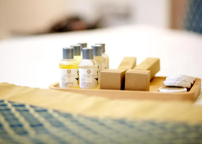 Hotel Beethoven Premium Istanboel