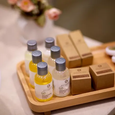 Beethoven Premium Hotell 4*