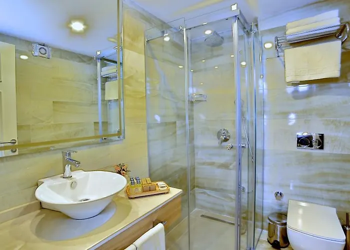 بيتهوفن بريميوم