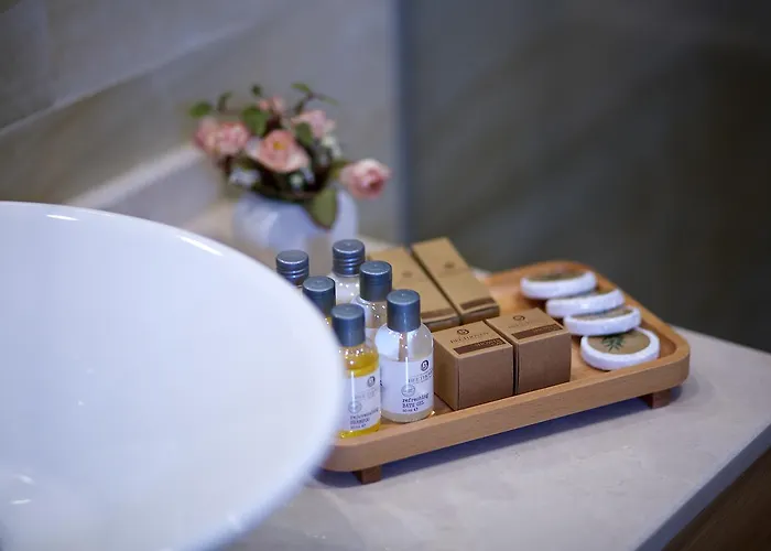 بيتهوفن بريميوم 4* اسطنبول